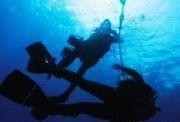 bbc深海 在线观看,在线观看之旅