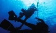 bbc深海 在线观看,在线观看之旅