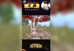 和平精英文西最新爆料,最新爆料揭秘游戏幕后故事
