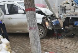 杞县车祸最新爆料蒜车,悲剧现场直击，真相渐浮水面