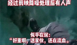 爆料病态事件视频,视频曝光令人震惊的真相